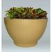 Allied Molded Products Toledo Composite Pot Planter Composite in Green | 21 H x 36 W x 16 D in | Wayfair TOL-2516-PD-33