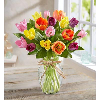 1-800-Flowers Seasonal Gift Delivery Timeless Tulips 20 Stems