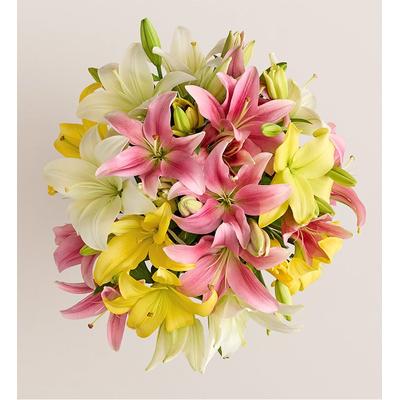 1-800-Flowers Seasonal Gift Delivery Sweet Spring Lily Double Bouquet Only | Gifts That They Will Love