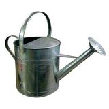 Watering Can 10 Quart Lawn And Garden