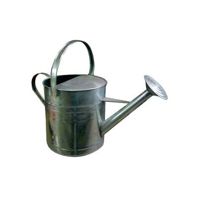 Watering Can 10 Quart Lawn And Garden