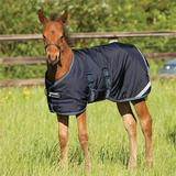 Amigo Foal Turnout Blanket - 36 - Medium (200g) - Navy/Electric Blue & Navy - Smartpak