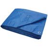 ProSource Light Duty Tarp With Aluminum Grommets 20 Ft L X 16 Ft W 6 X 7 In Mesh Polyethylene