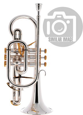 Besson BE2028-2 Prestige Bb-Cornet