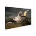 Trademark Fine Art "Gannets" by John James Audubon Painting Print on Wrapped Canvas Metal | 22 H x 32 W x 2 D in | Wayfair BL01273-C2232GG