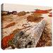 ArtWall Log on Pebble Beach by Linda Parker - Wrapped Canvas Photograph Print Metal in Brown/Red | 32 H x 48 W x 2 D in | Wayfair Lpar-067-48x32-w