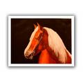 ArtWall 'Horse Painted' by Lindsey Janich Graphic Art on Rolled Canvas in White | 28 H x 36 W x 0.1 D in | Wayfair 0jan023-24x32