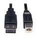 Tripp Lite Ur022006 USB Cable 4 Pin USB Type A (M) 4 Pin USB Type B (M) 6 Ft ( USB / HiSpeed USB ) M