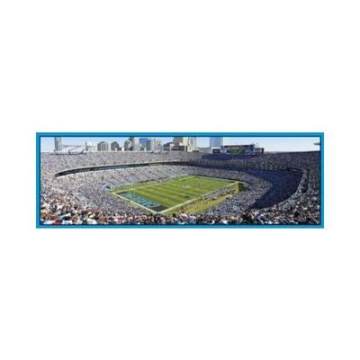 MasterPieces Carolina Panthers - 1000pc Panoramic Jigsaw Puzzle