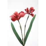Distinctive Designs DIY Flower Double Iris, Synthetic in Red | 33 H x 3.5 W x 3.5 D in | Wayfair DW-876-RORD