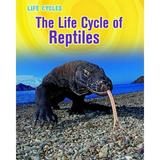 Life Cycle of Reptiles