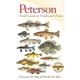 Peterson Field Guides: Peterson Field Guide to Freshwater Fishes Second Edition (Paperback)
