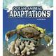 Amazing Animal Adaptations: Ocean Animal Adaptations (Paperback)