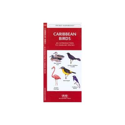 Caribbean Birds by James Kavanaugh (Paperback - Waterford Pr)