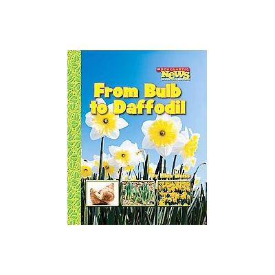 From Bulb to Daffodil by Ellen Weiss (Paperback - Childrens Pr)