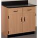 Stevens ID Systems Science 4 Compartments Classroom Cabinet Wood in Brown | 35 H x 36 W x 23 D in | Wayfair 81447 J36-027