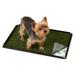 Indoor Turf Dog Potty Plus, For dogs up to 20 lbs., 24" L X 16" W X 1" H, 24 IN