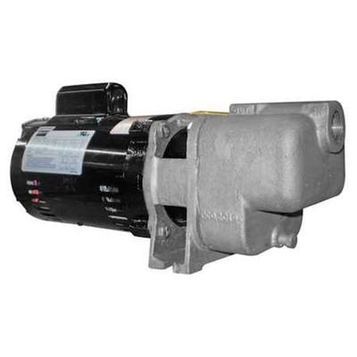 DAYTON 5GUP0 Centrifugal Pump, 1/3 hp, 115/230V AC, 1 Phase, 41 ft Max Head