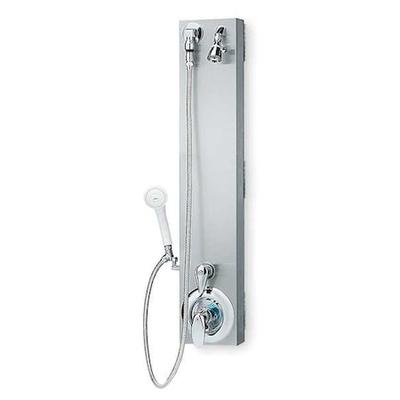 BRADLEY S23-1061 Shower, ADA Pivoting Surface Mount
