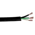 CAROL 01380.82.01 12 AWG 3 Conductor Portable Cord 300V 100 ft. BK