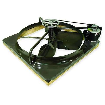 DAYTON 1LXN7 Whole House Fan,30 In,115 Volt