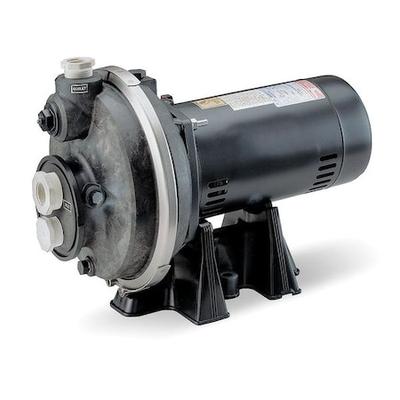 DAYTON 4RK03 Pump,1/2 HP