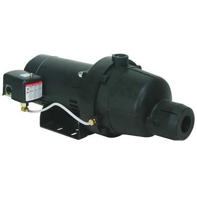 DAYTON 4HEY5 Shallow Well Jet Pump, Plastic, 3/4 HP