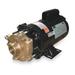 DAYTON 2ZWR9 Bronze/Brass 1 HP Centrifugal Pump 115/230V