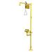 BRADLEY S19-310FW Classic Drench Shower With Face/Eyewash, 10 In. W
