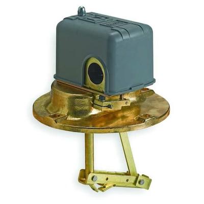 TELEMECANIQUE SENSORS 9037EG8 DPST Liquid Level Switch Close on Rise 575VAC