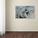 Trademark Fine Art "Frost Pattern #1" by Kurt Shaffer Photographic Print on Wrapped Canvas Canvas | 16 H x 24 W x 2 D in | Wayfair KS512-C1624GG