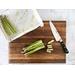 ZWILLING J.A. Henckels Zwilling Pro Holm Oak 9.84-inch Ultimate Bread Knife Stainless Steel/Plastic in Gray | Wayfair 38411-203