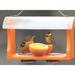 Birds Choice Recycled Oriole Bird Feeder for s & Jelly in Plastic in Orange | 7 H x 8 W x 13 D in | Wayfair SNOF