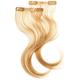 Balmain Clip Tape Extensions Echthaar, 25 cm, cafe blond, 2er Pack, (1x 2 Stück)