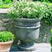 Campania International St. Remy Cast Stone Urn Planter Concrete | 22 H x 18.5 W x 18.5 D in | Wayfair P-326-CB