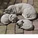 Campania International Reclining Dog Statue Concrete | 6 H x 19 W x 8.5 D in | Wayfair A-254-CB