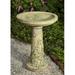 Campania International Butterflies Are Free Birdbath Concrete, Copper in Green | 26.25 H x 19.5 W x 19.5 D in | Wayfair B-145-VE