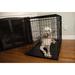 Tucker Murphy Pet™ Cecere Pet Crate Metal in Black | 20 H x 18 W x 24 D in | Wayfair E4A9758231FB433BB765711186C3435A