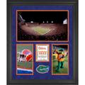 Florida Gators Ben Hill Griffin Stadium Framed 20'' x 24'' 3-Opening Collage