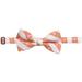 Tennessee Volunteers Check Bow Tie