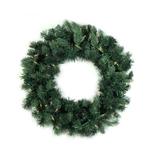 Northlight Seasonal Pre-Lit Washington Frasier Fir Artificial Christmas Wreath - Clear Lights Most Realistic Faux, in Green/White | Wayfair B84769