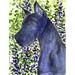 Caroline's Treasures Great Dane 2-Sided Polyester 40 x 28 in. House Flag in Blue | 40 H x 28 W in | Wayfair SS8745CHF