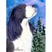 Caroline's Treasures English Springer Spaniel 2-Sided Polyester 40 x 28 in. House Flag in Black/Blue | 40 H x 28 W in | Wayfair SS8985CHF