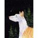 Caroline's Treasures Starry Night Ibizan Hound 2-Sided Polyester 40 x 28 in. House Flag in Black/Brown | 40 H x 28 W in | Wayfair SS8499CHF