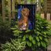 Caroline's Treasures Starry Night Chesapeake Bay Retriever 2-Sided Garden Flag, Polyester in Black/Brown | 15 H x 11 W in | Wayfair SS8384GF