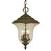 Framburg Hartford 16 Inch Tall 3 Light Outdoor Hanging Lantern - 1228 RC