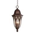 Designers Fountain Berkshire 25 Inch Tall 4 Light Outdoor Hanging Lantern - 20634-BAC