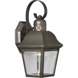 Progress Lighting Andover 13 Inch Tall 1 Light Outdoor Wall Light - P5687-20