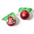 Coton Colors Our First Christmas Glass Ornament Glass/Metal in Red | 3.94 H x 3.94 W x 3.94 D in | Wayfair CHMAS-1CHR