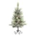 Vickerman 372210 - 3' x 21" Artificial Frosted Bellevue Pine with Pine Cones Christmas Tree (E155835)